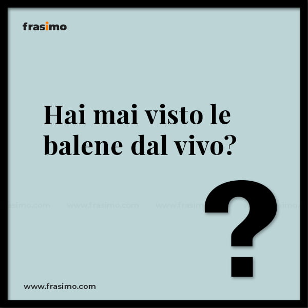 hai mai alcolico domande