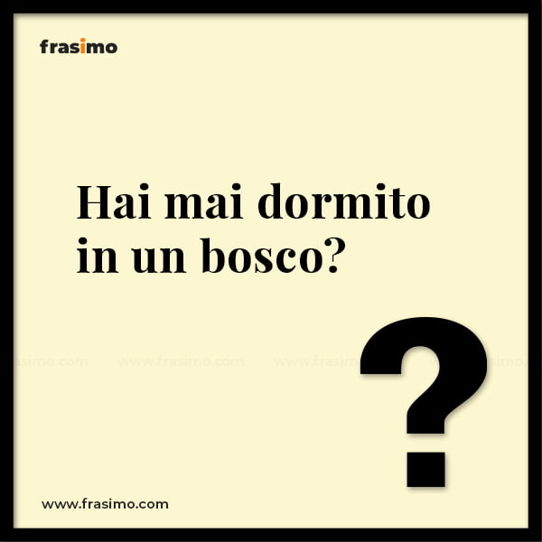 hai mai domande gioco