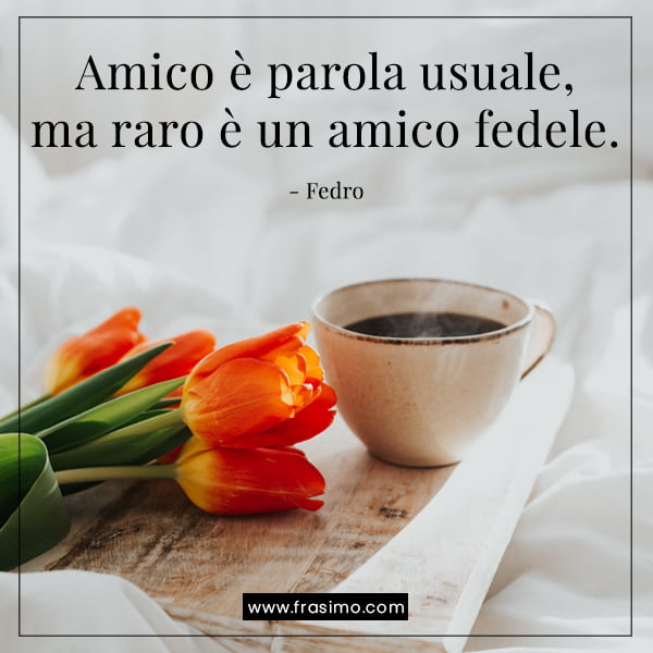 amicizia frasi canzoni